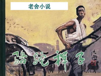 雏鸟pro下载